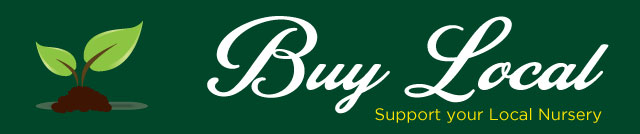 Buy Local banner