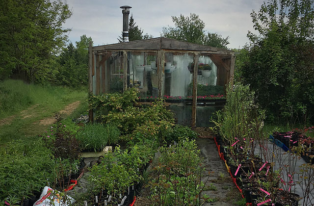 greenhouse nursery