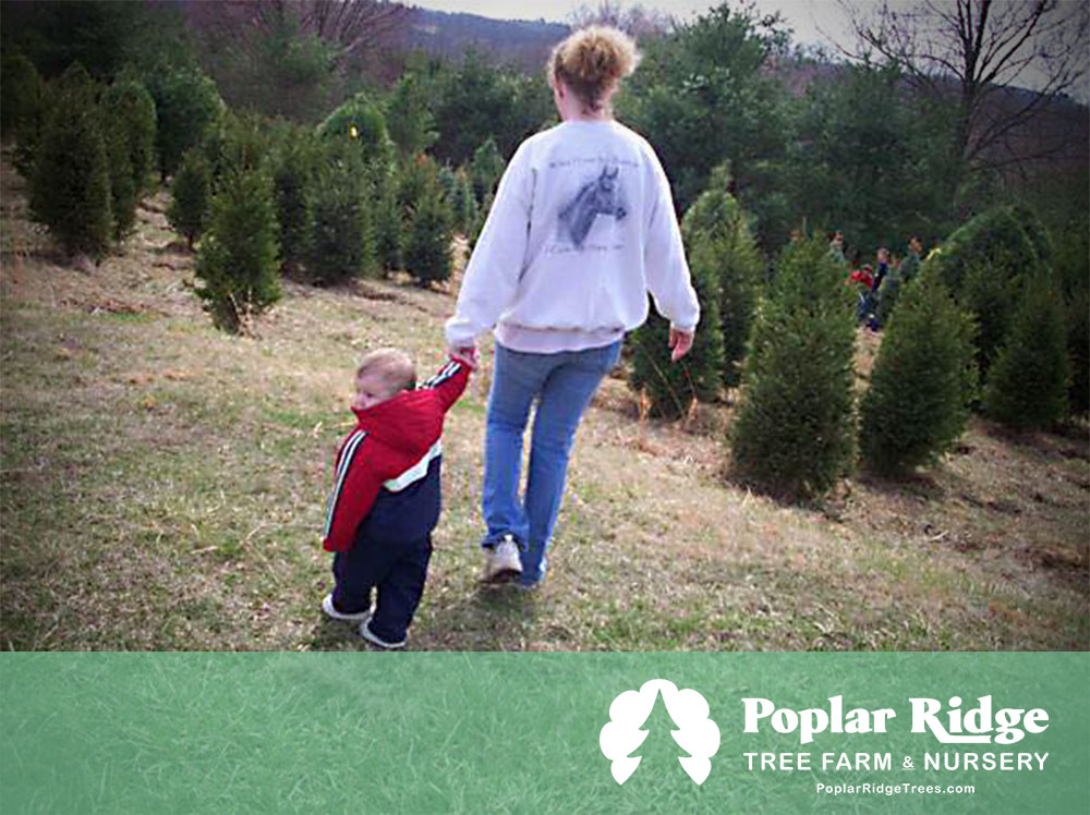 girl with child in christmas tree farm